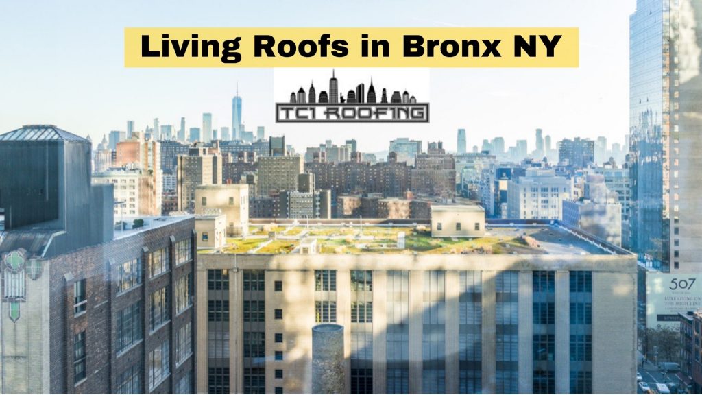 Living Roofs in Bronx NY